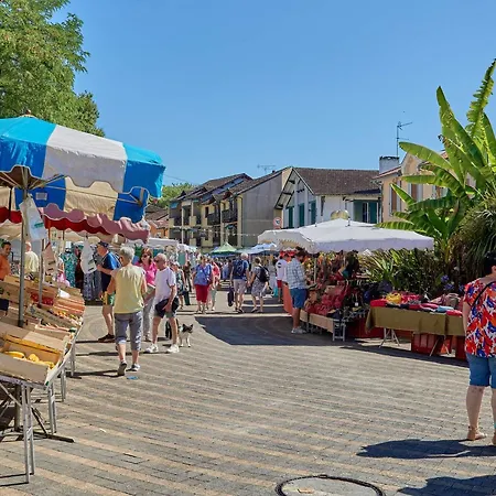 T2 Cosy, Jardinet, Animaux Admis, Parking Et Wifi * Barbotan-les-Thermes